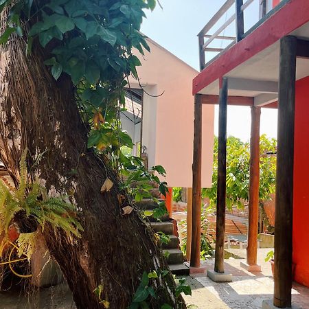 Morada Cacauera Apartment Itacare Exterior photo